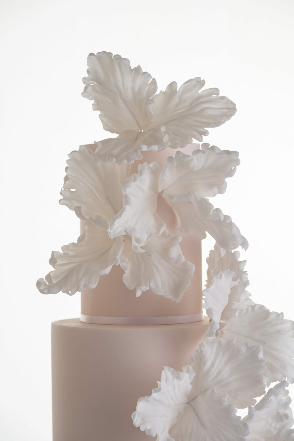 The top two tiers of luxury customisable contemporary wedding cake, Eloise, in soft blush, with hand-crafted sugar flower petals, by Decorum Taste.