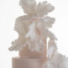 The top two tiers of luxury customisable contemporary wedding cake, Eloise, in soft blush, with hand-crafted sugar flower petals, by Decorum Taste.