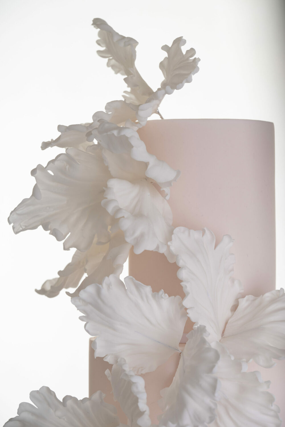 The top two tiers of luxury customisable contemporary wedding cake, Eloise, in soft blush, with hand-crafted sugar flower petals, by Decorum Taste.