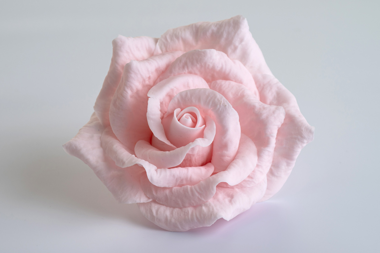 A handcrafted blush sugarflower rose by Decorum Taste