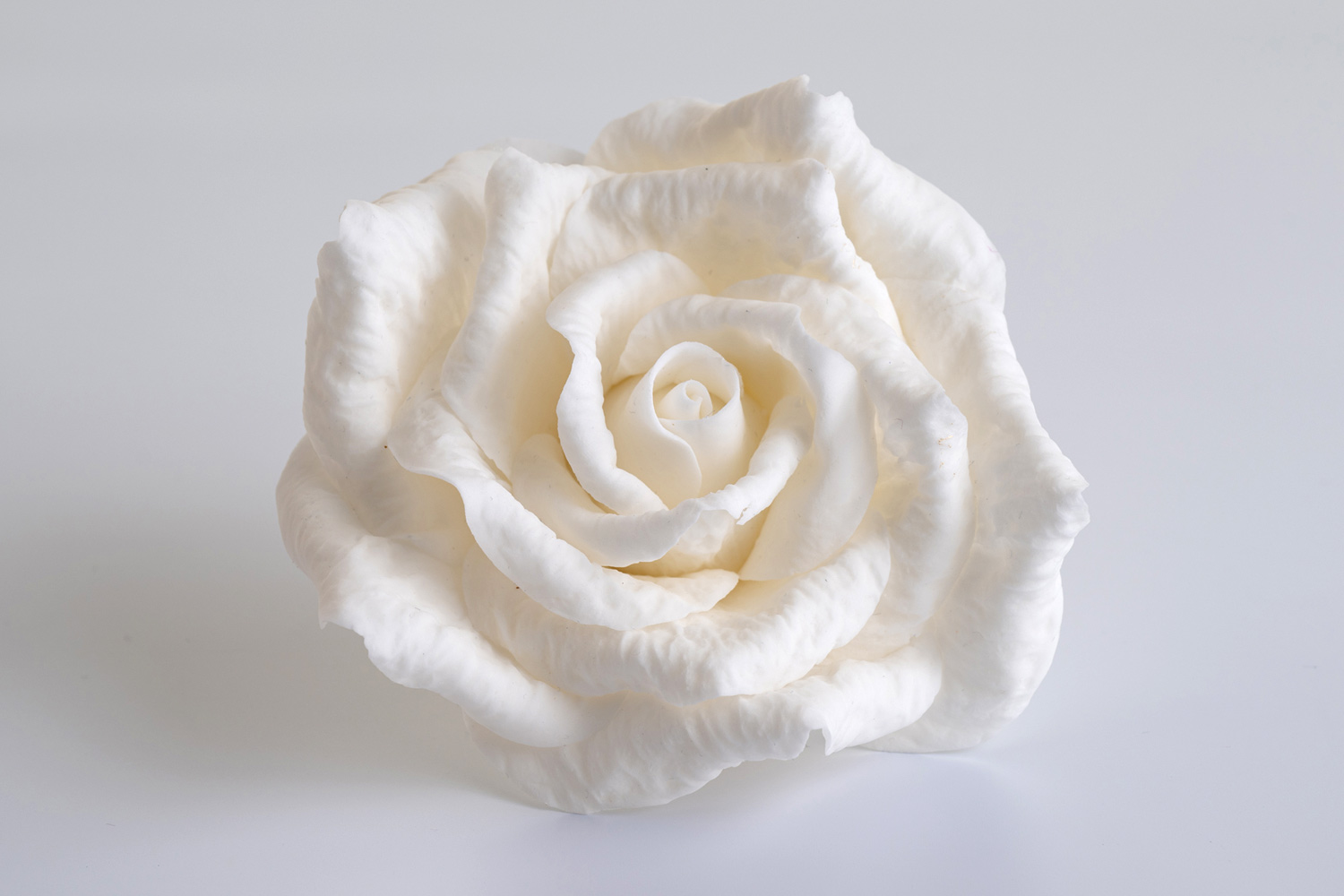 A handcrafted white sugarflower rose by Decorum Taste